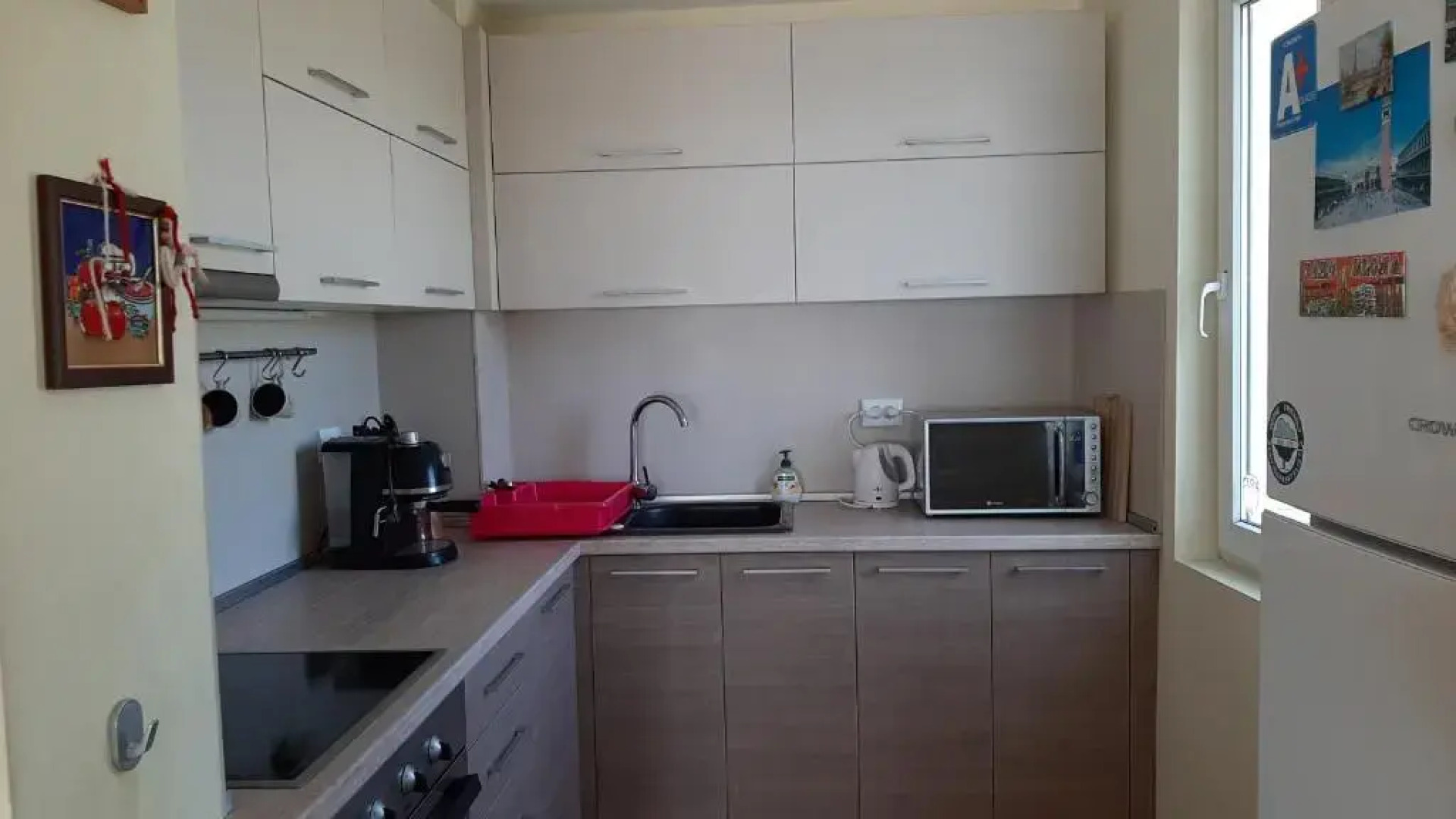 Villa Byala Grape House