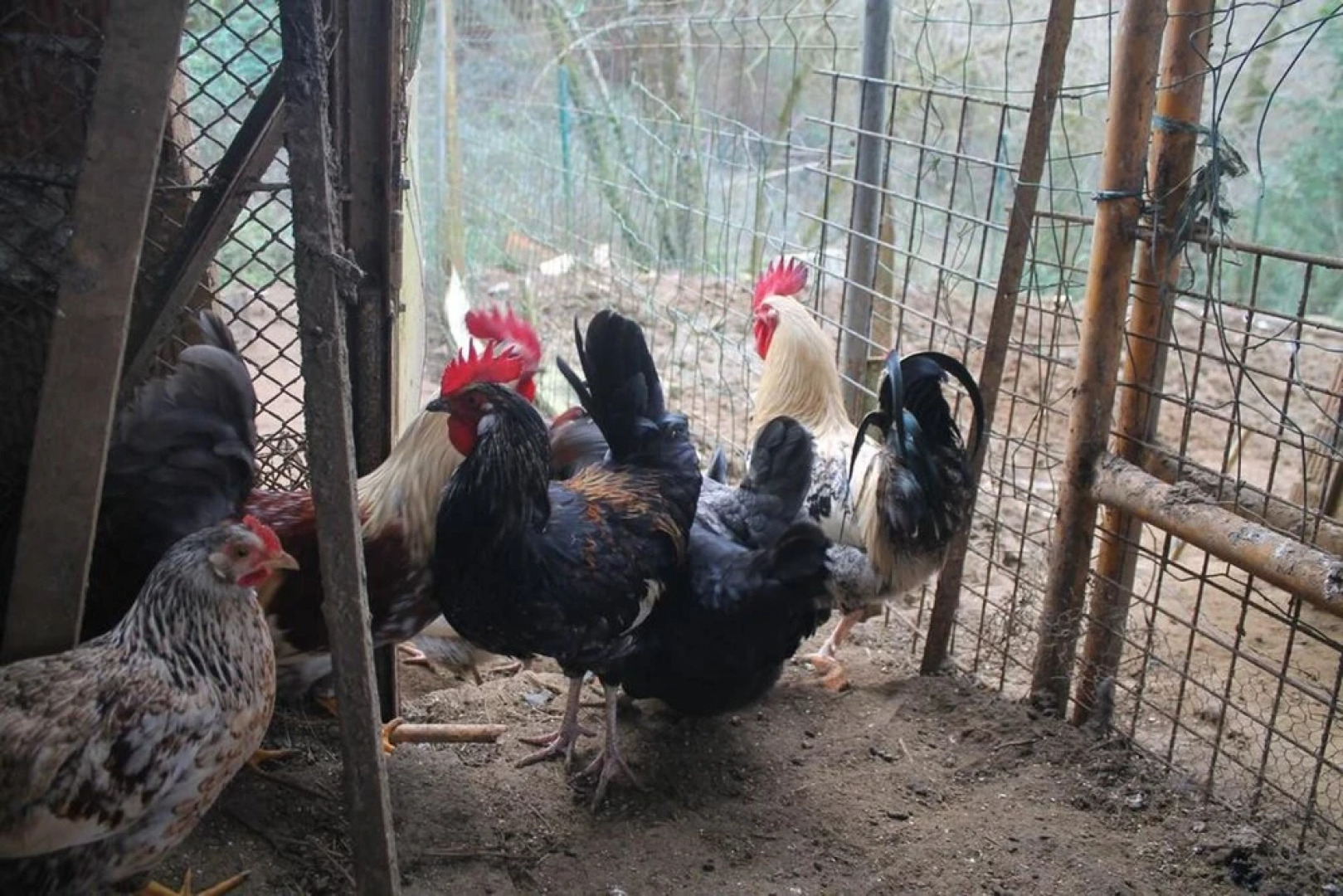 House With one Bedroom in Romillo, With Wonderful Mountain View, Furni