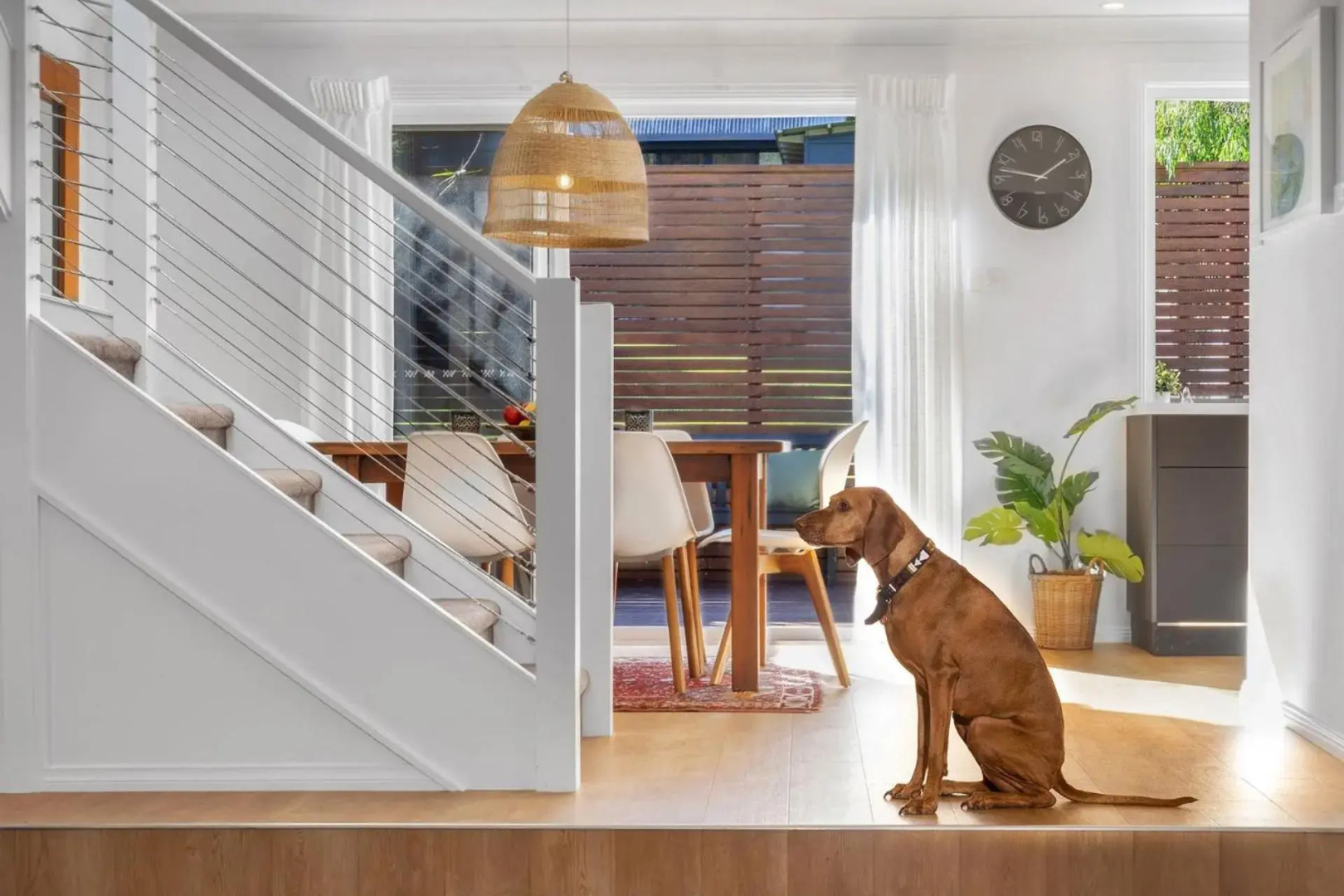 Birdsong at Hyams Beach 4pm Check Out Sundays