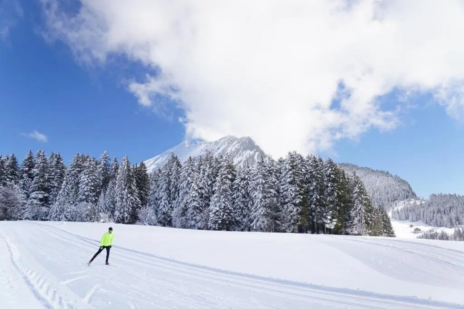 Apartment Bischofberger D22 Amden