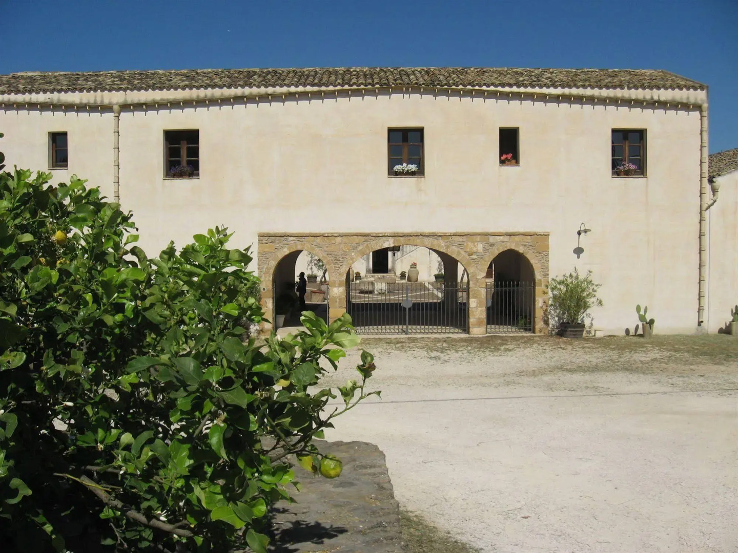 Momentum Wellness Bio Resort