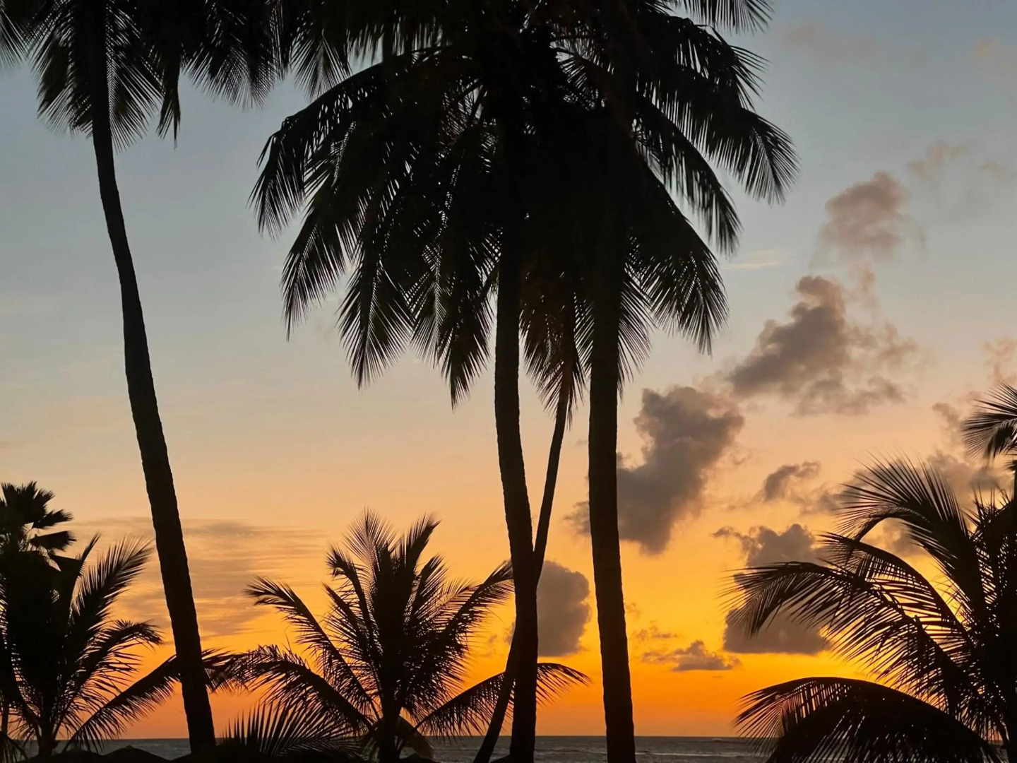 L'Appart Spa Privé, jacuzzi et sauna, accès exclusif