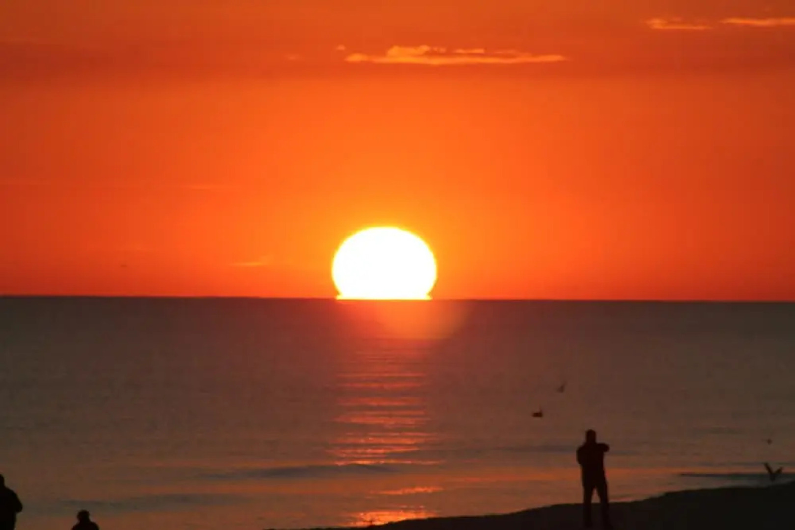 Emerald Dolphin by Surfside VR