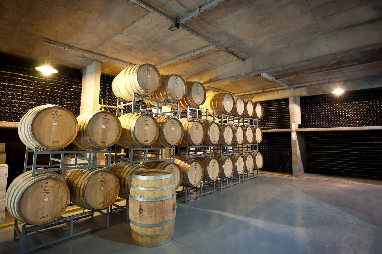 Algodon Wine Estates and Champions Club