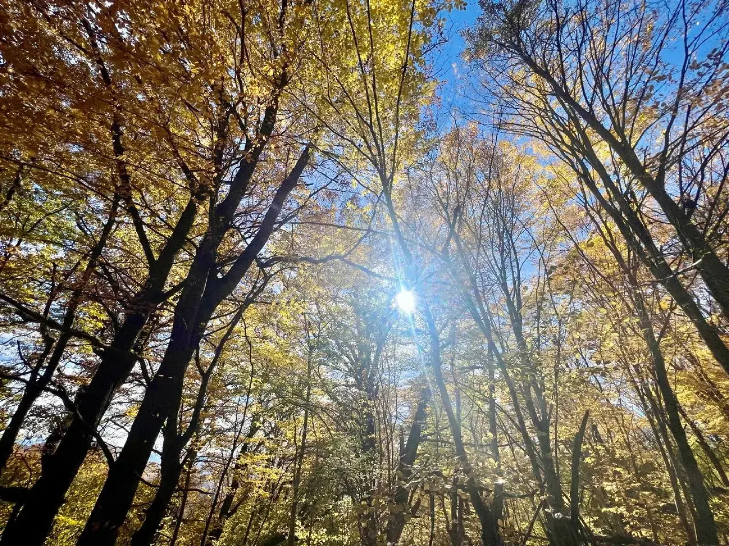 Ранчо в горах Лаго-Наки