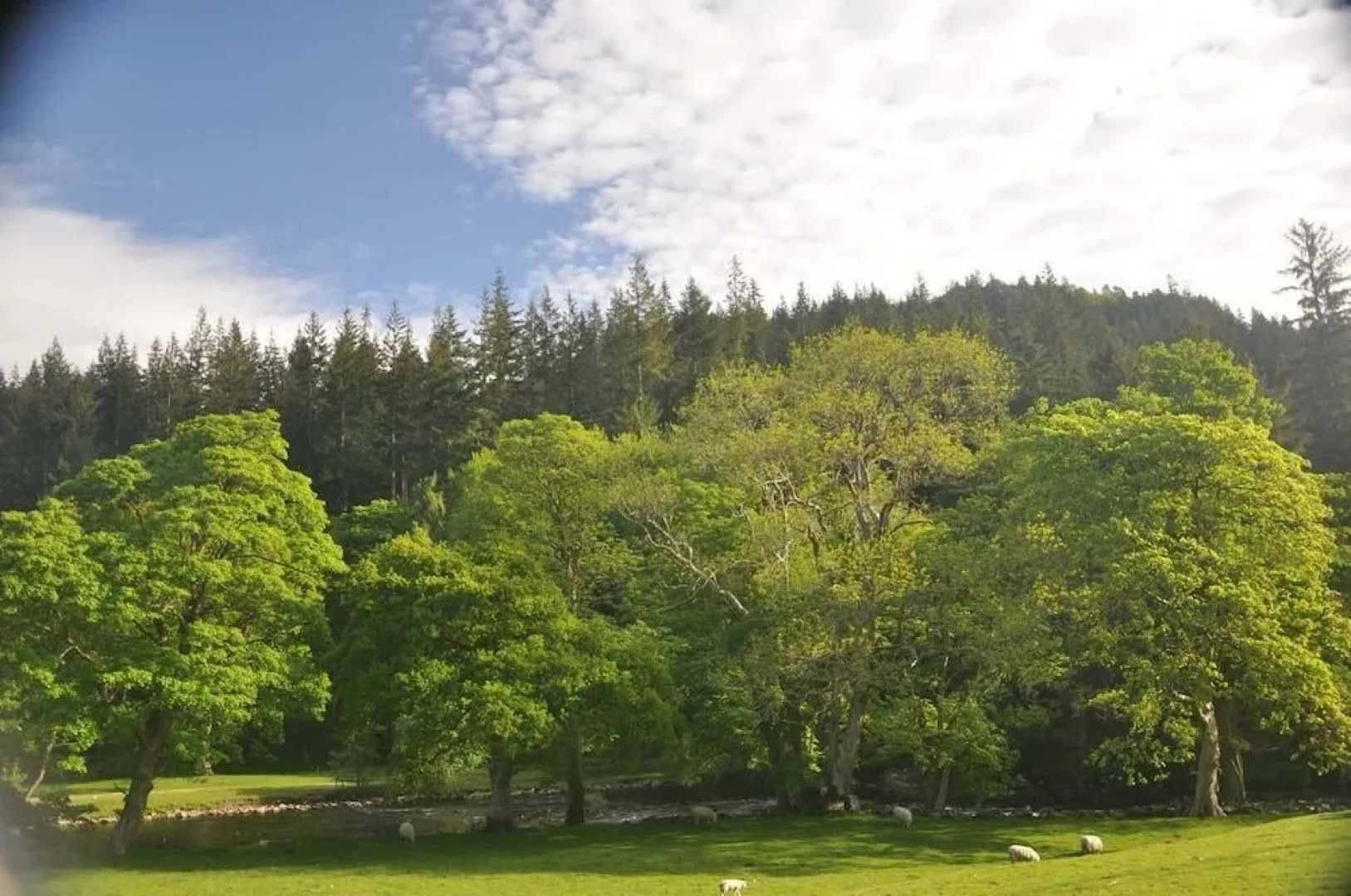 Dragon Bed and Breakfast