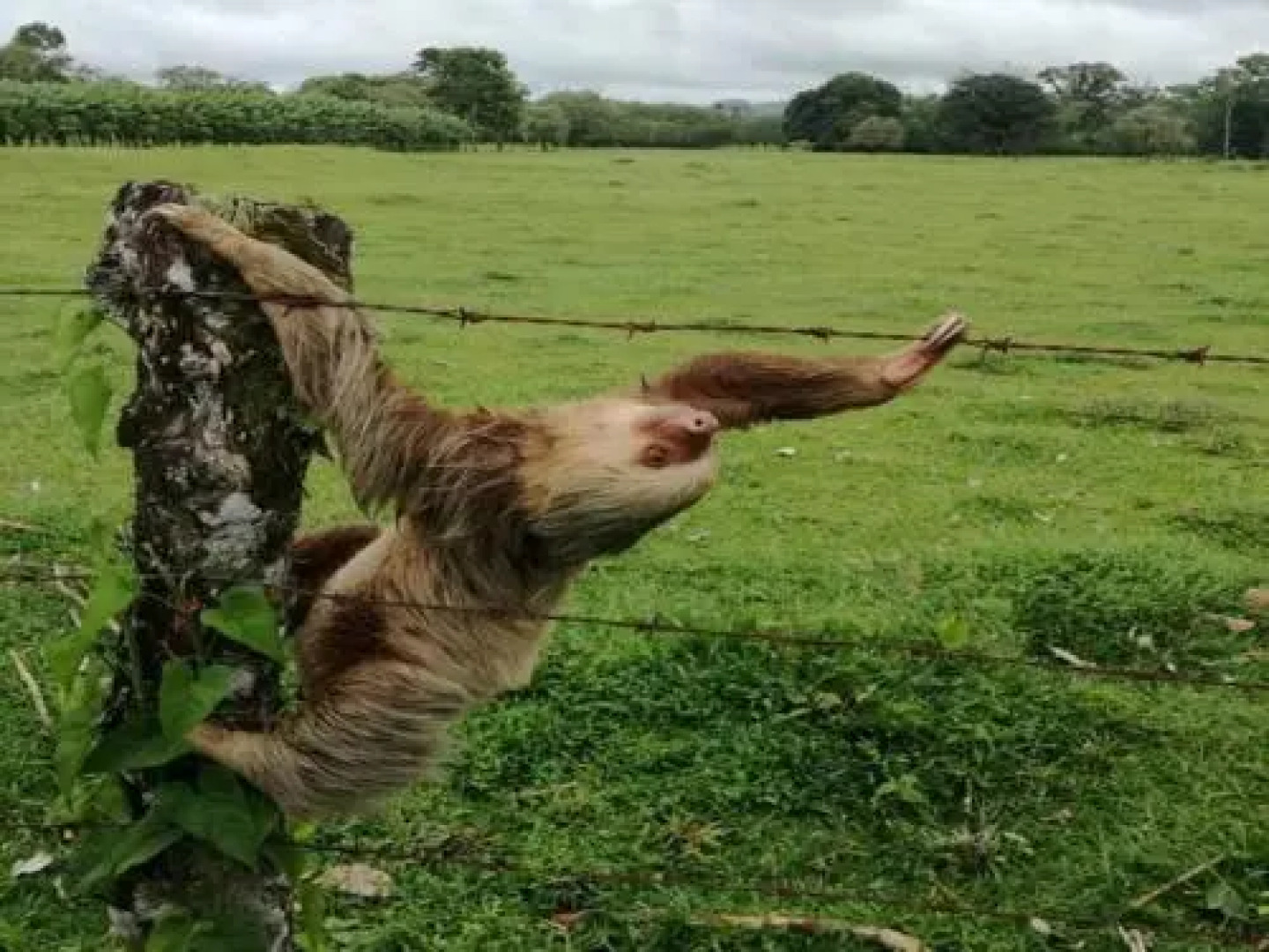 Flamingo Cove Condo 7 - Best Ocean View