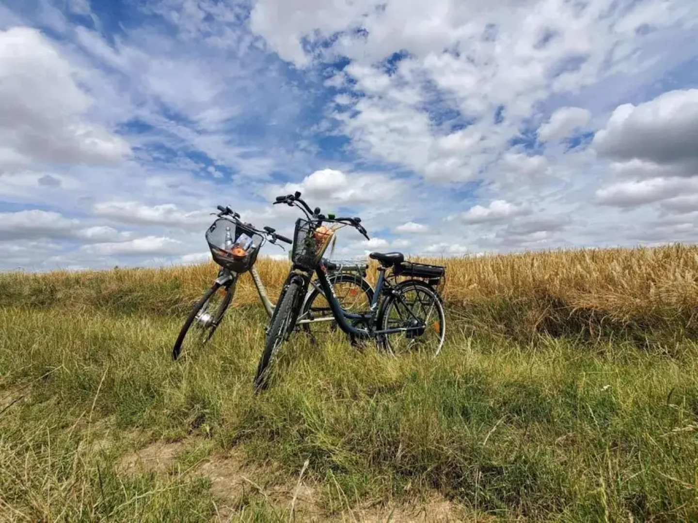 Château Du Bois Guibert