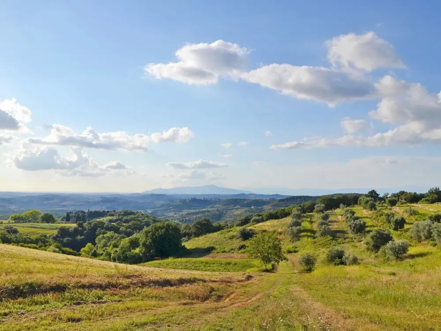 San Vivaldo Nr 3 San Vivaldo