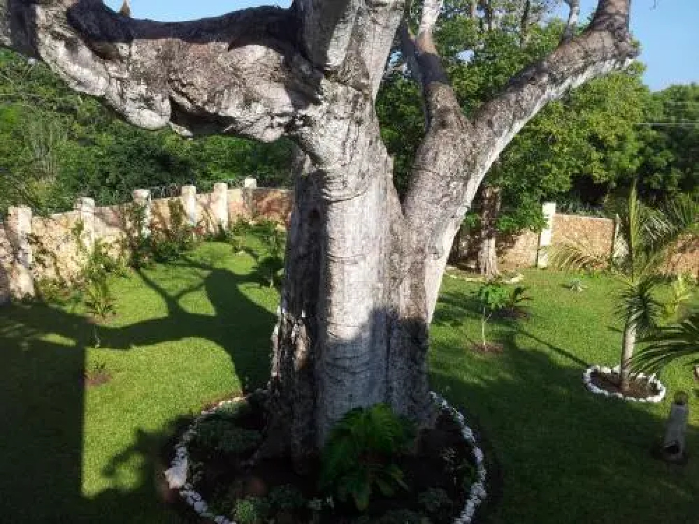 Adansonia Village Resort