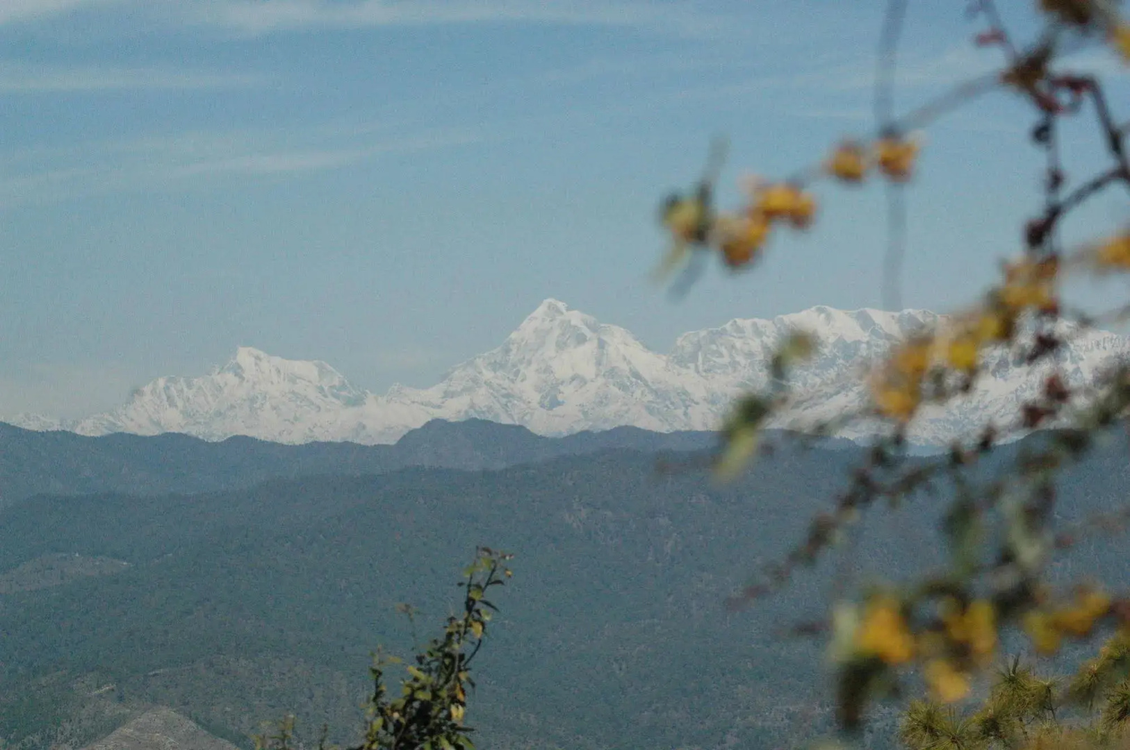 Woodsvilla Residency Ranikhet