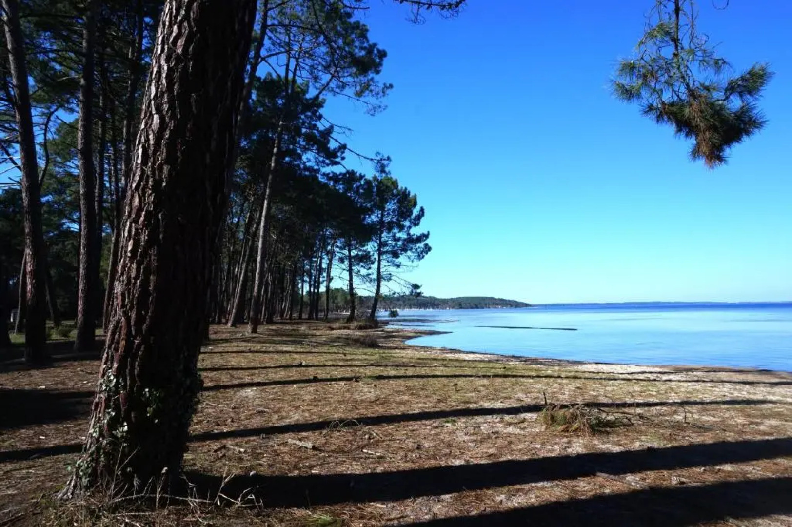 10 Résidence Bleu Indigo -025