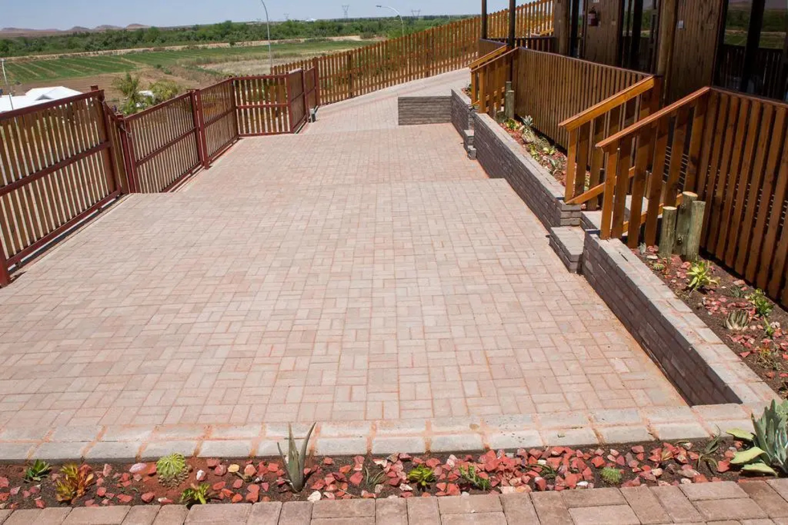 Kalahari Lion's Rest