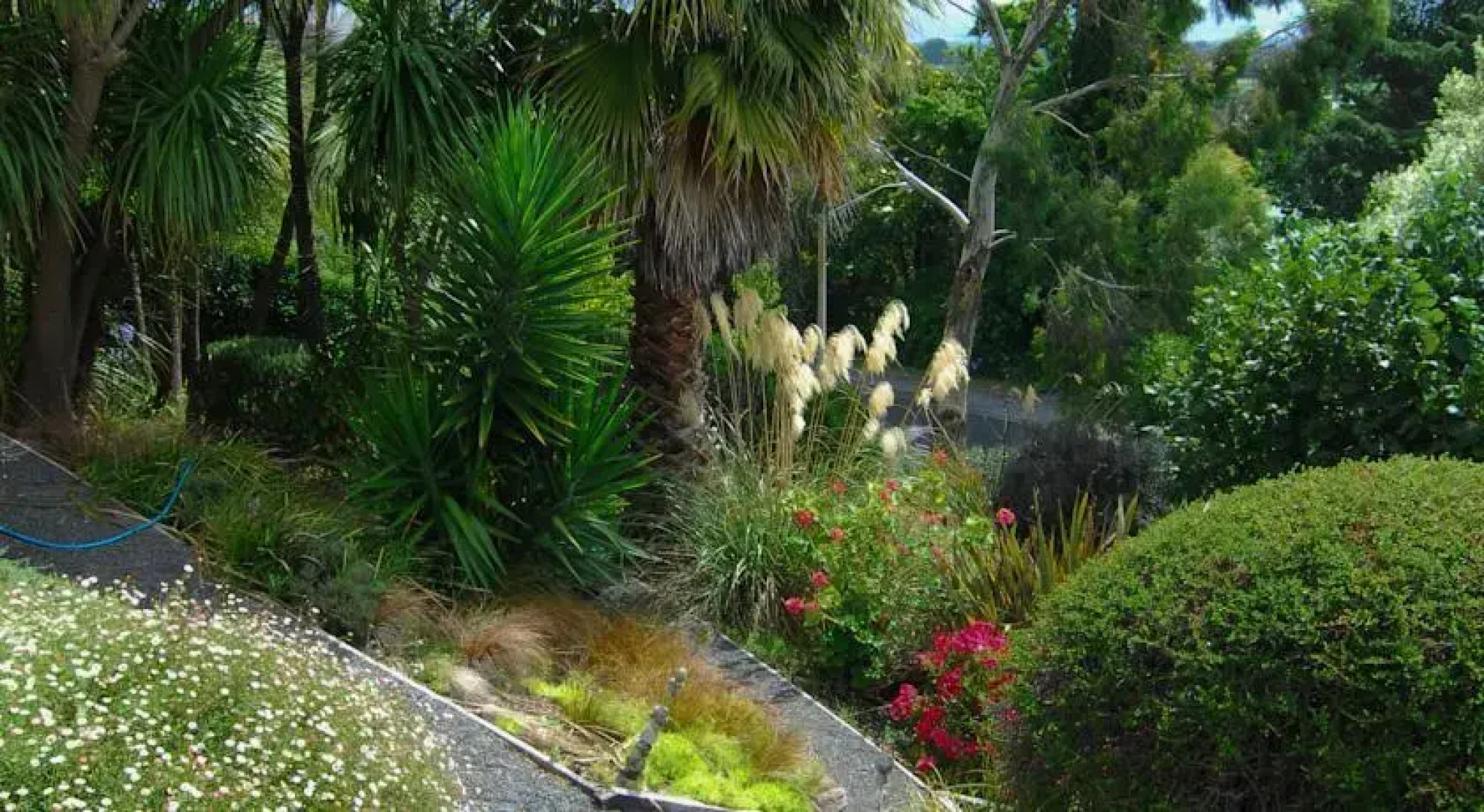 The Loft Art Studio & Premium Bed and Breakfast