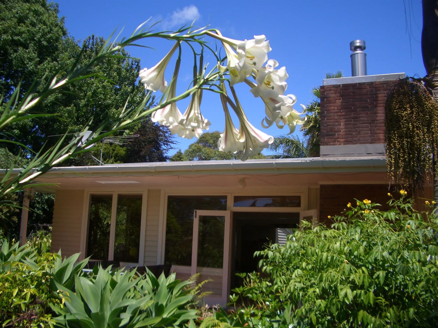 88 Lodge Bed and Breakfast