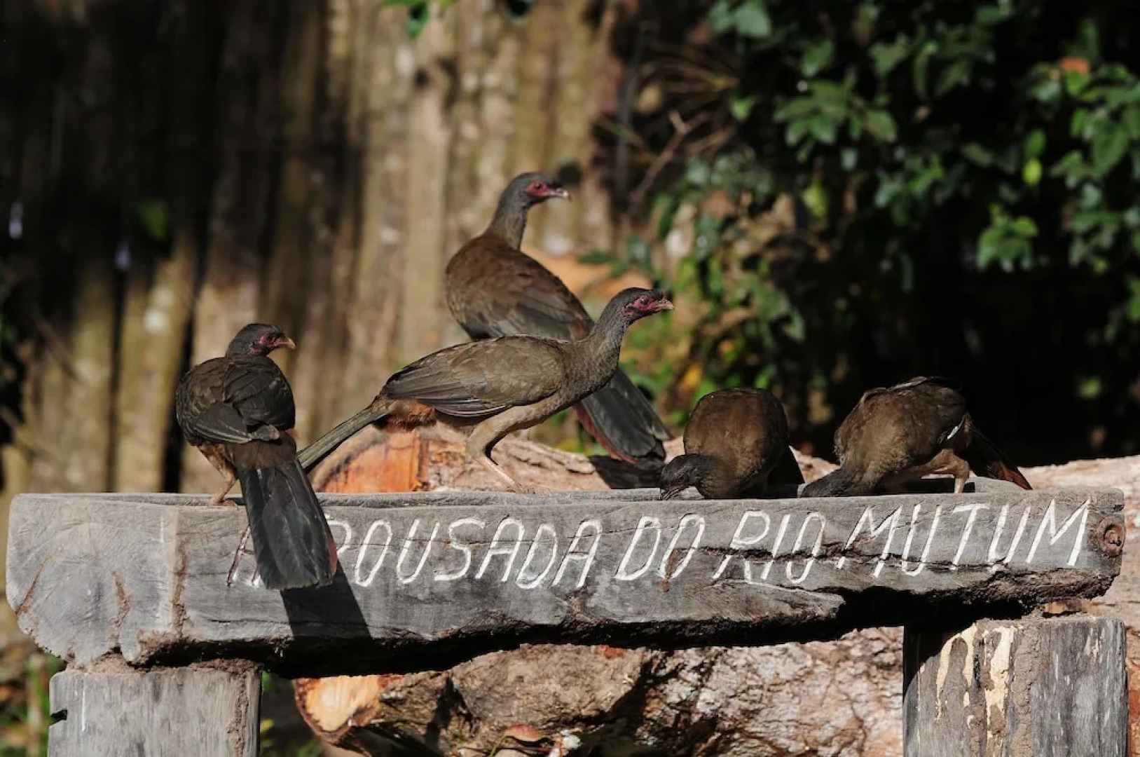 Pousada Do Rio Mutum