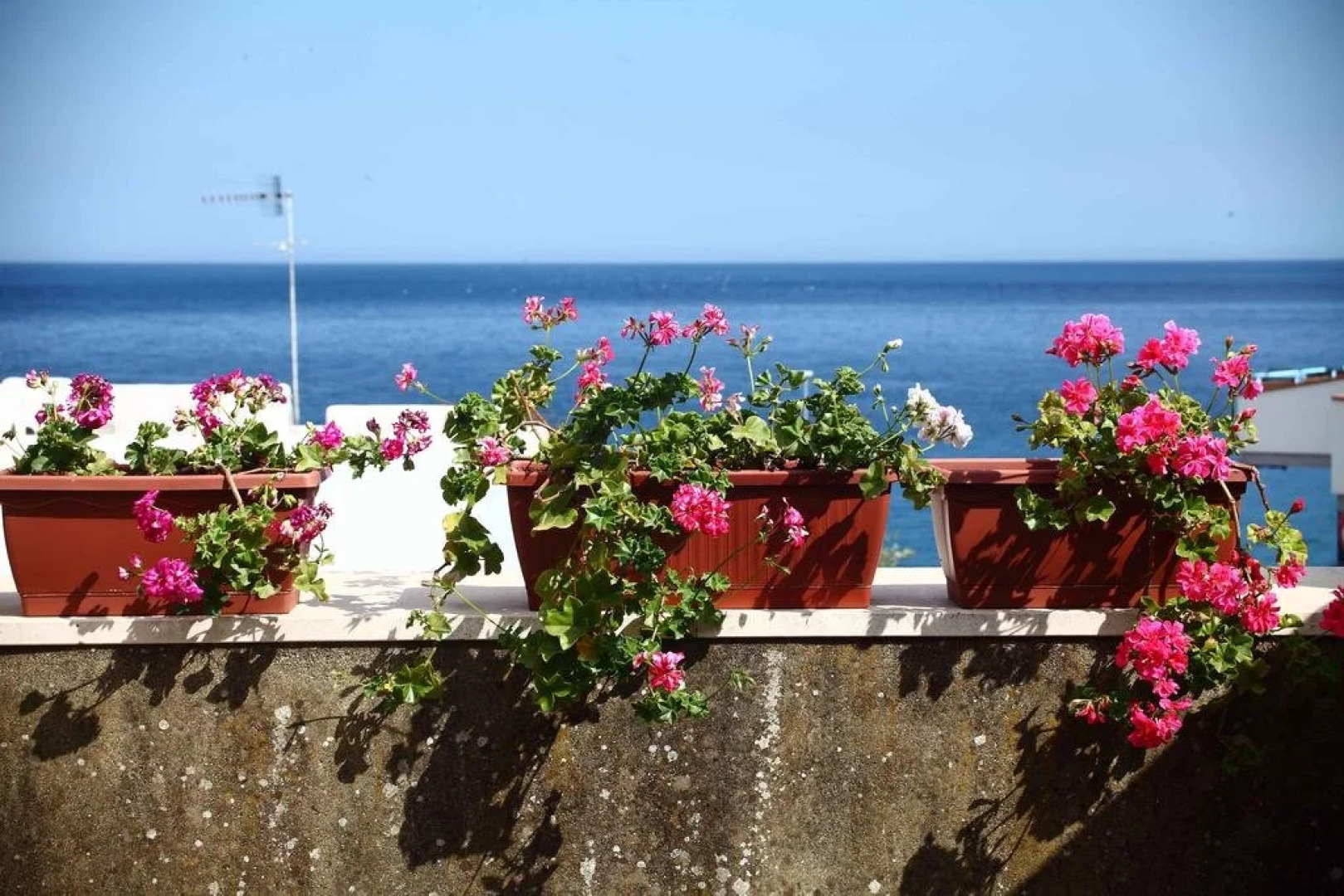 Fico Bed and Breakfast