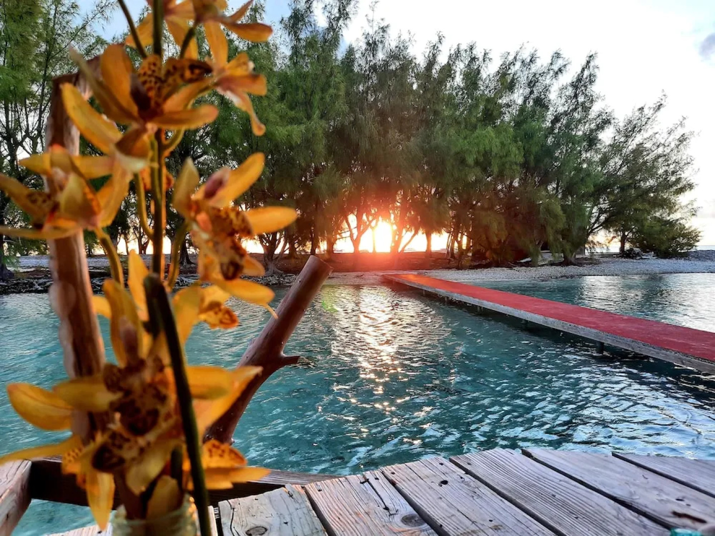 Pension Motu Aito Paradise