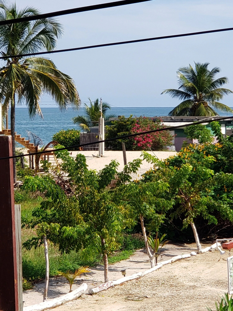 All Seasons Belize
