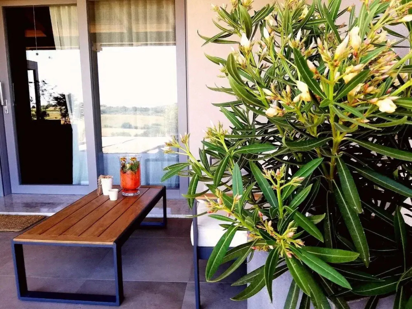 Agriturismo Le Piccole Macie