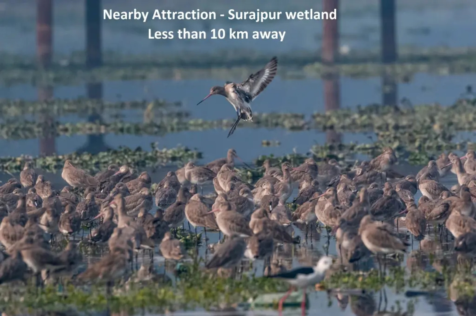 Oyo 75124 Hotel Rama Deluxe