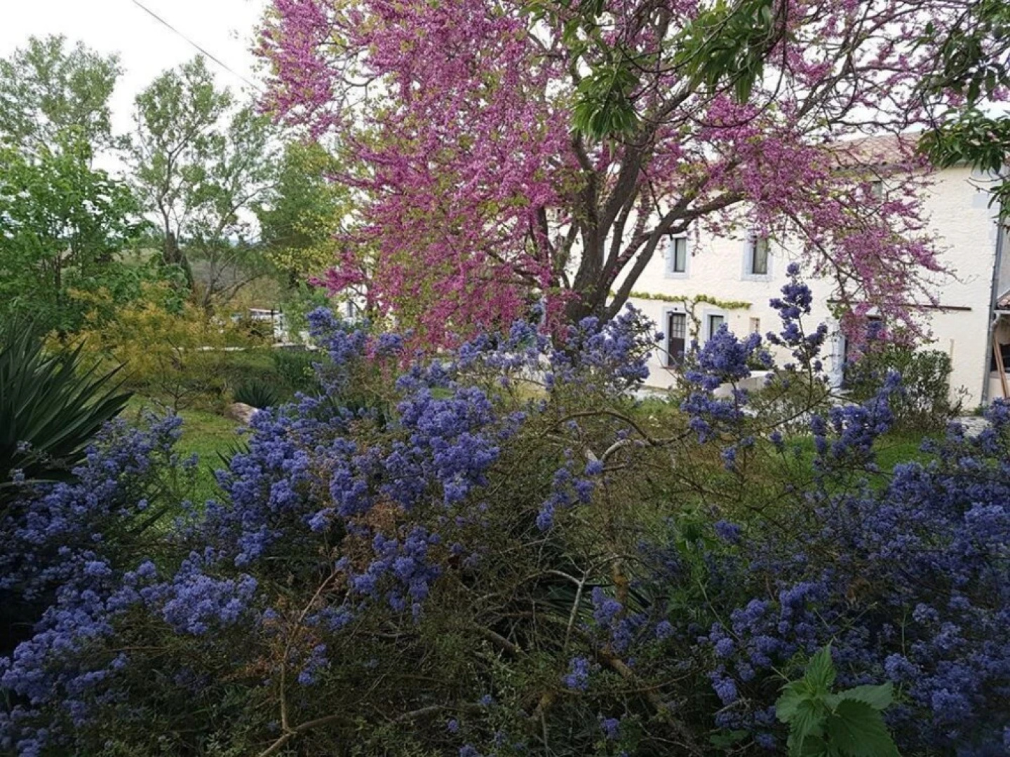 Domaine de Mestrugue