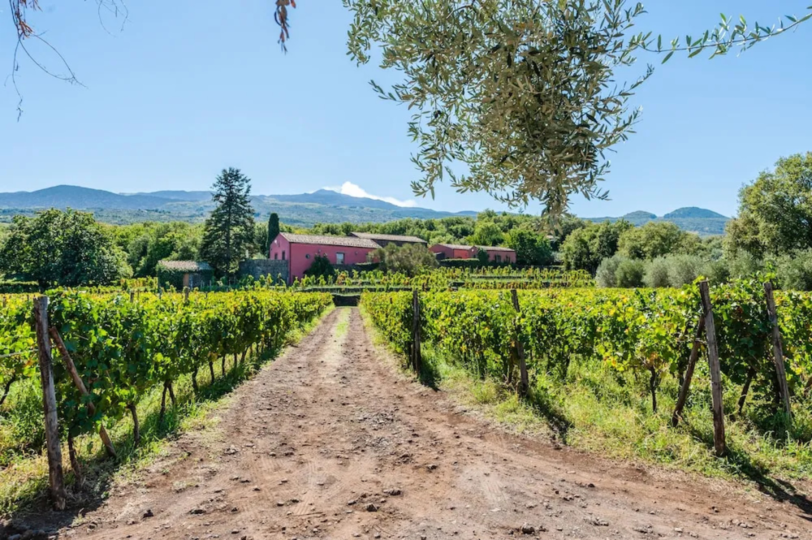Terrazze dell'Etna - Rooms & Apartments