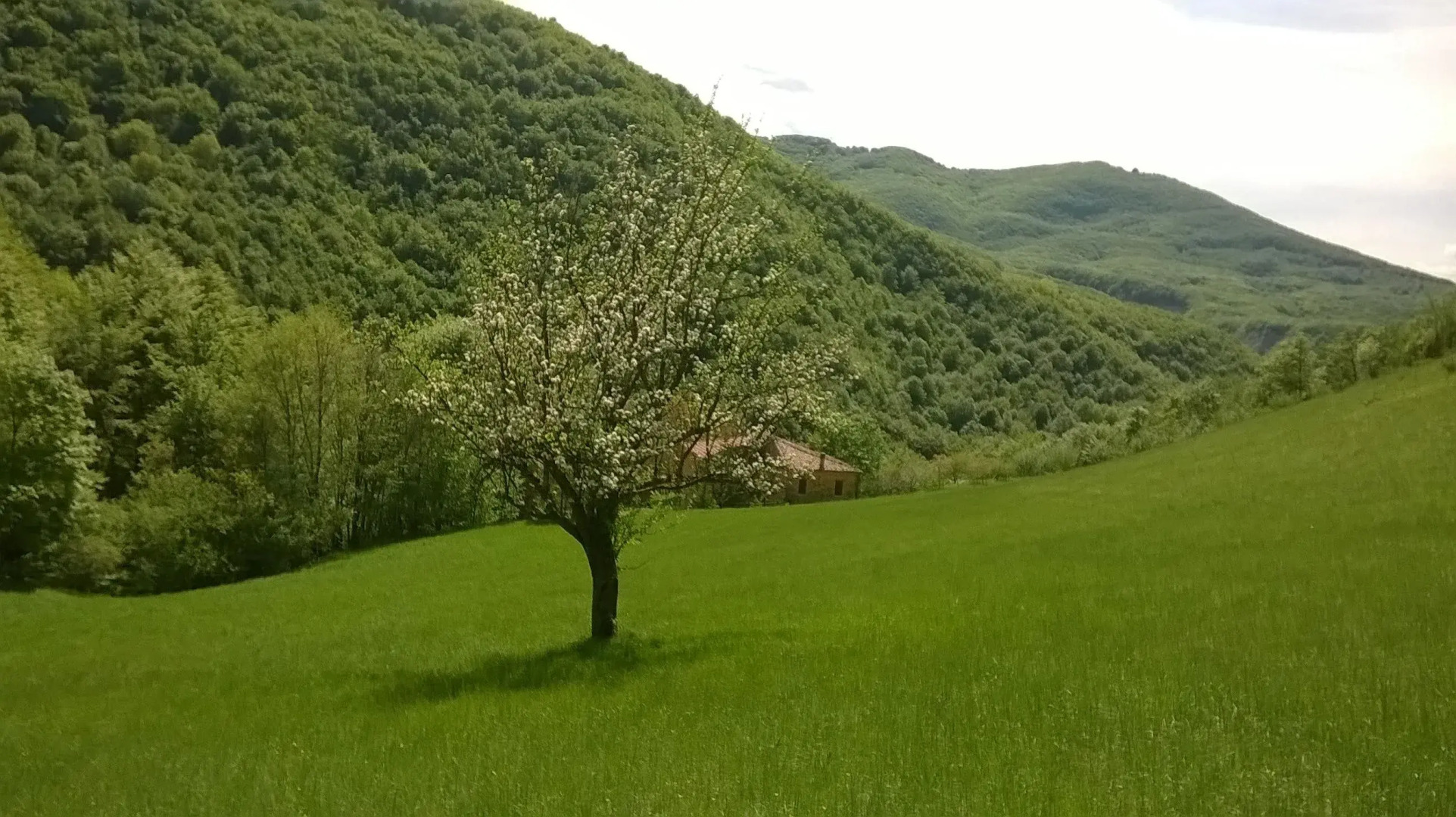 Agricola Tre Rii Sidreria