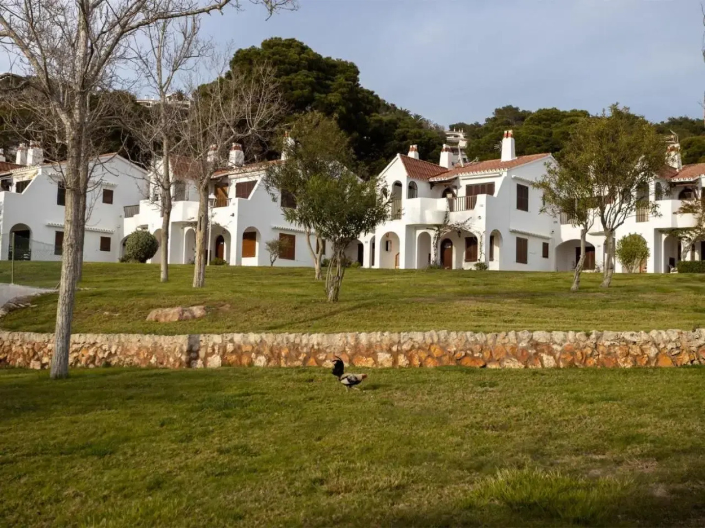 Apartment Son Bou Gardens Apt 2 dorm