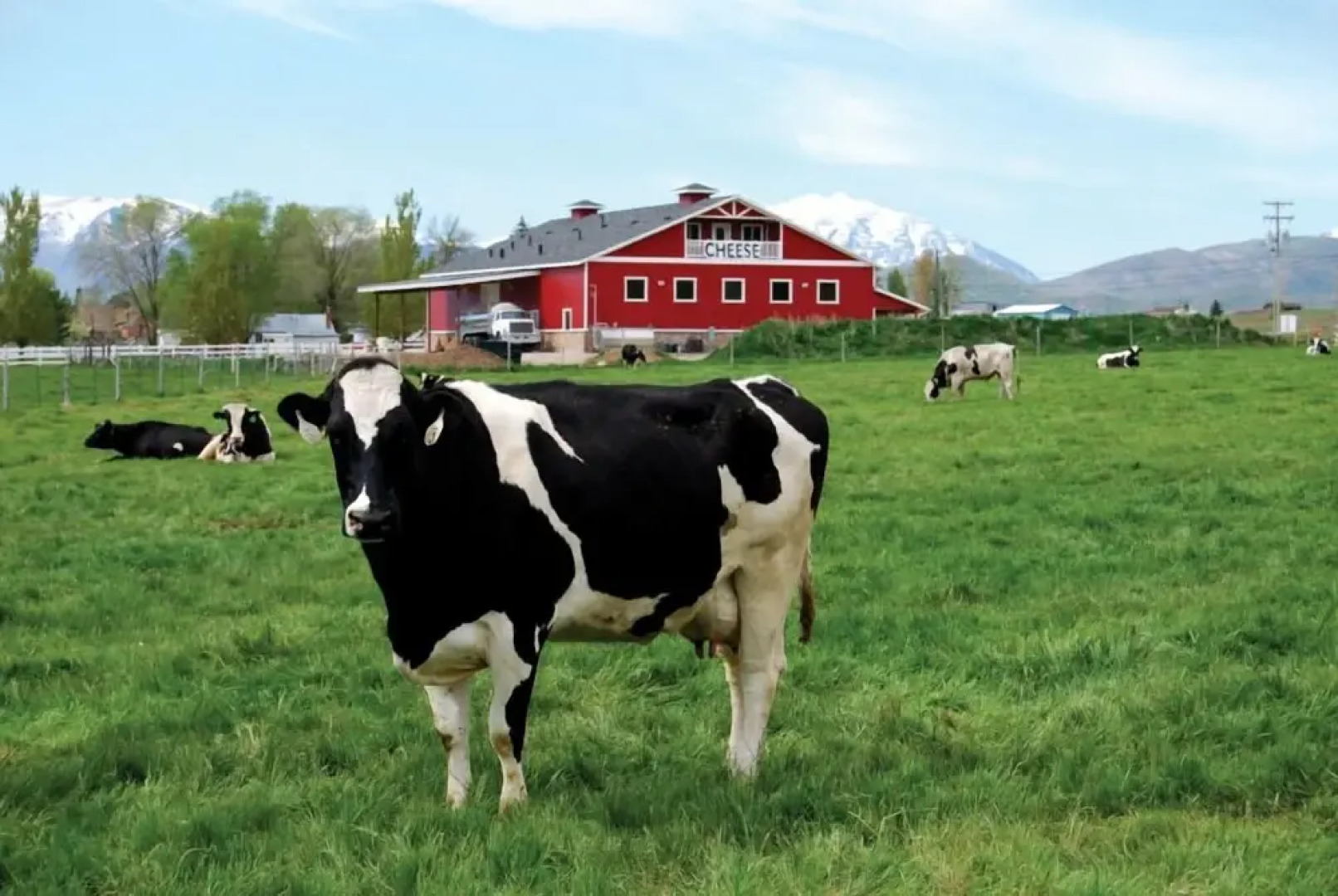 Heber Senator Bed and Breakfast