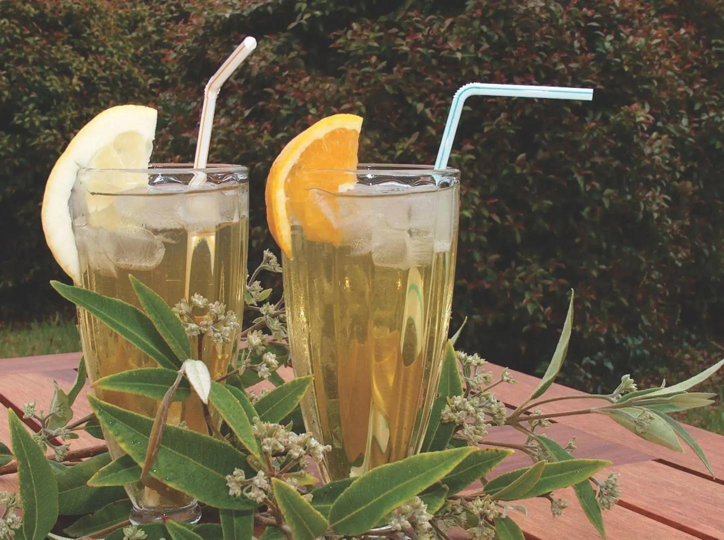 Tennessee Hill Chalets