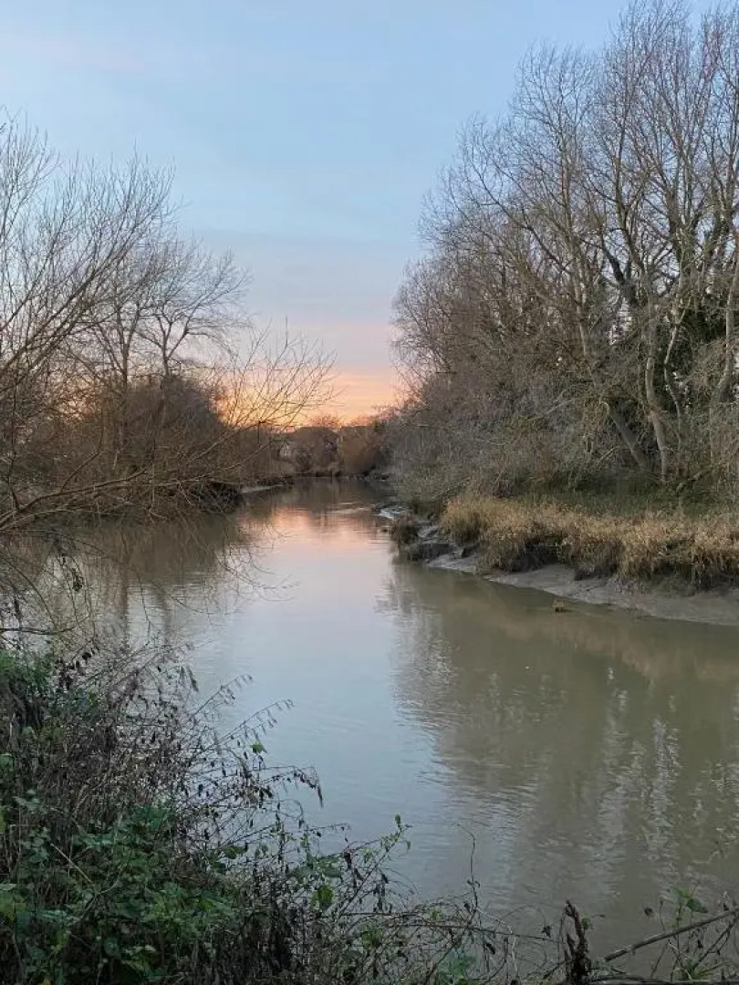 Sea Salt Cottage - Mins to beach & shops Dog Friendly