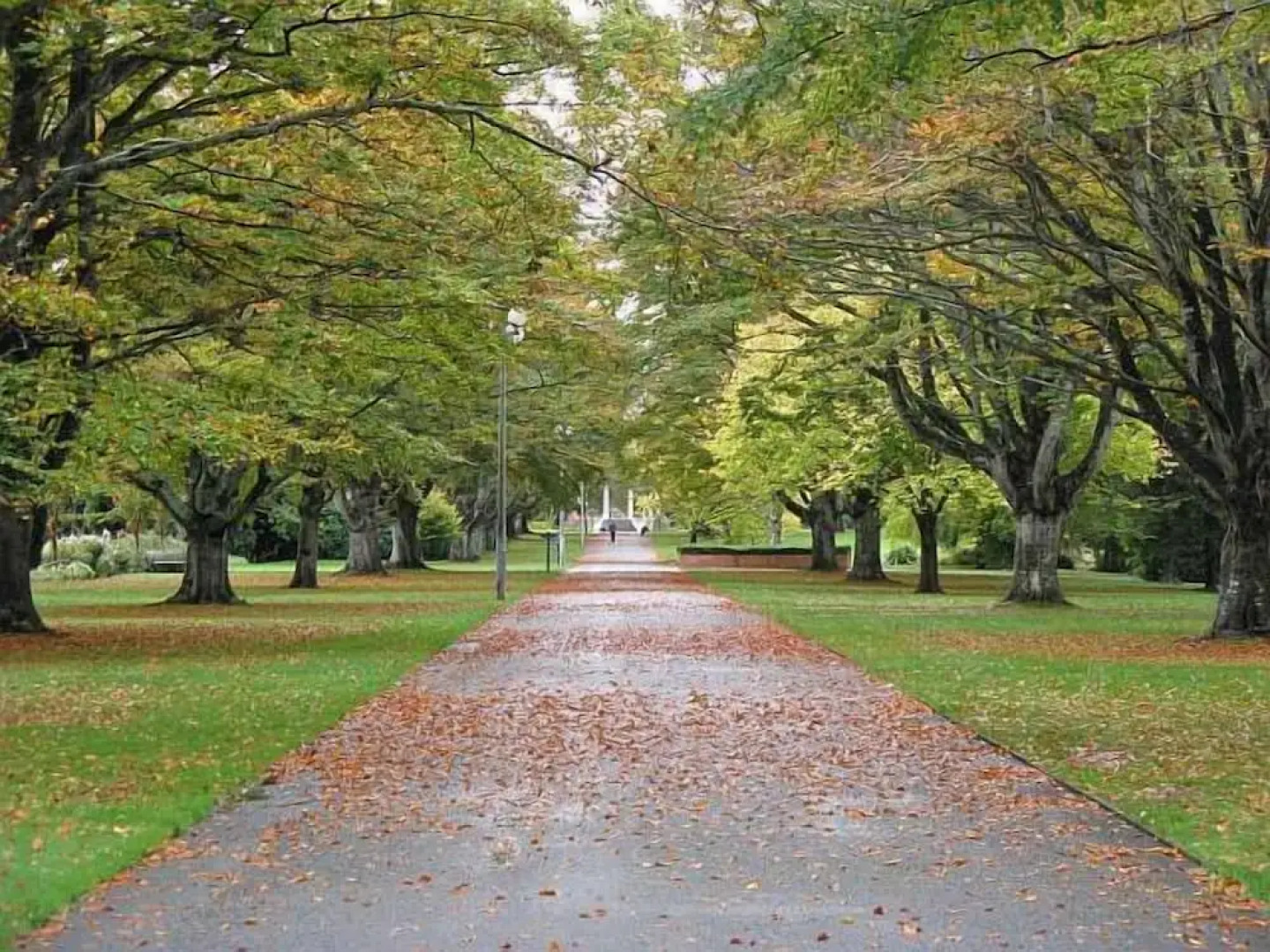 Central City Camping Park Invercargill