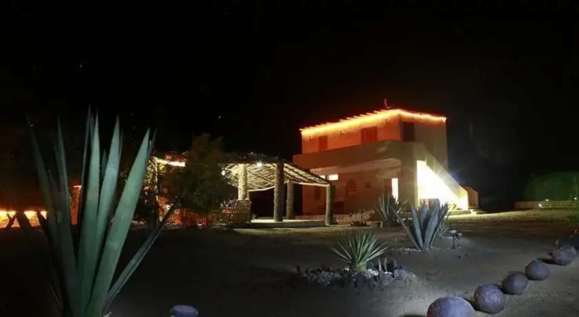 Desert Fox Club Camp