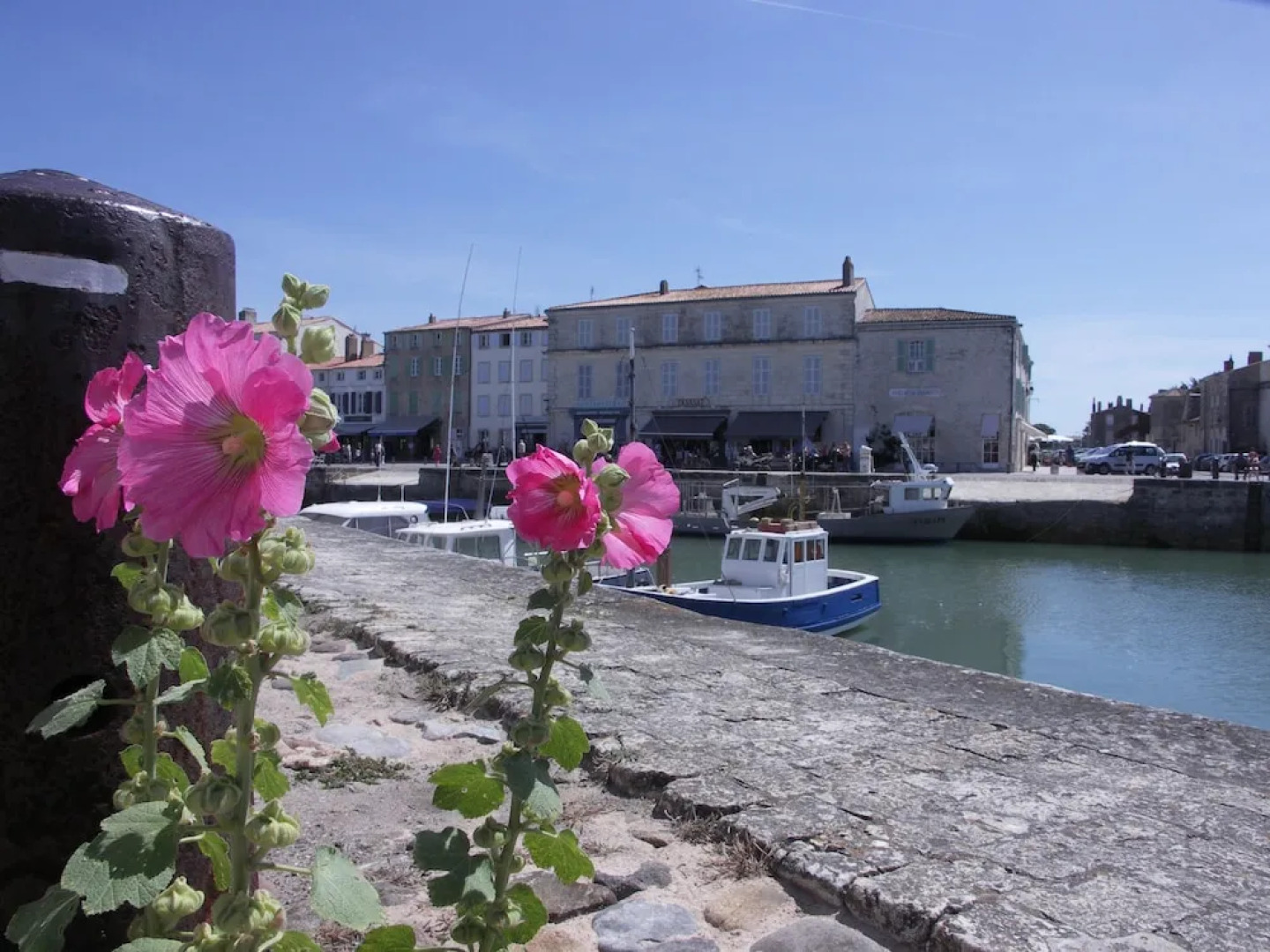 Appartement l'îlot sur le Port