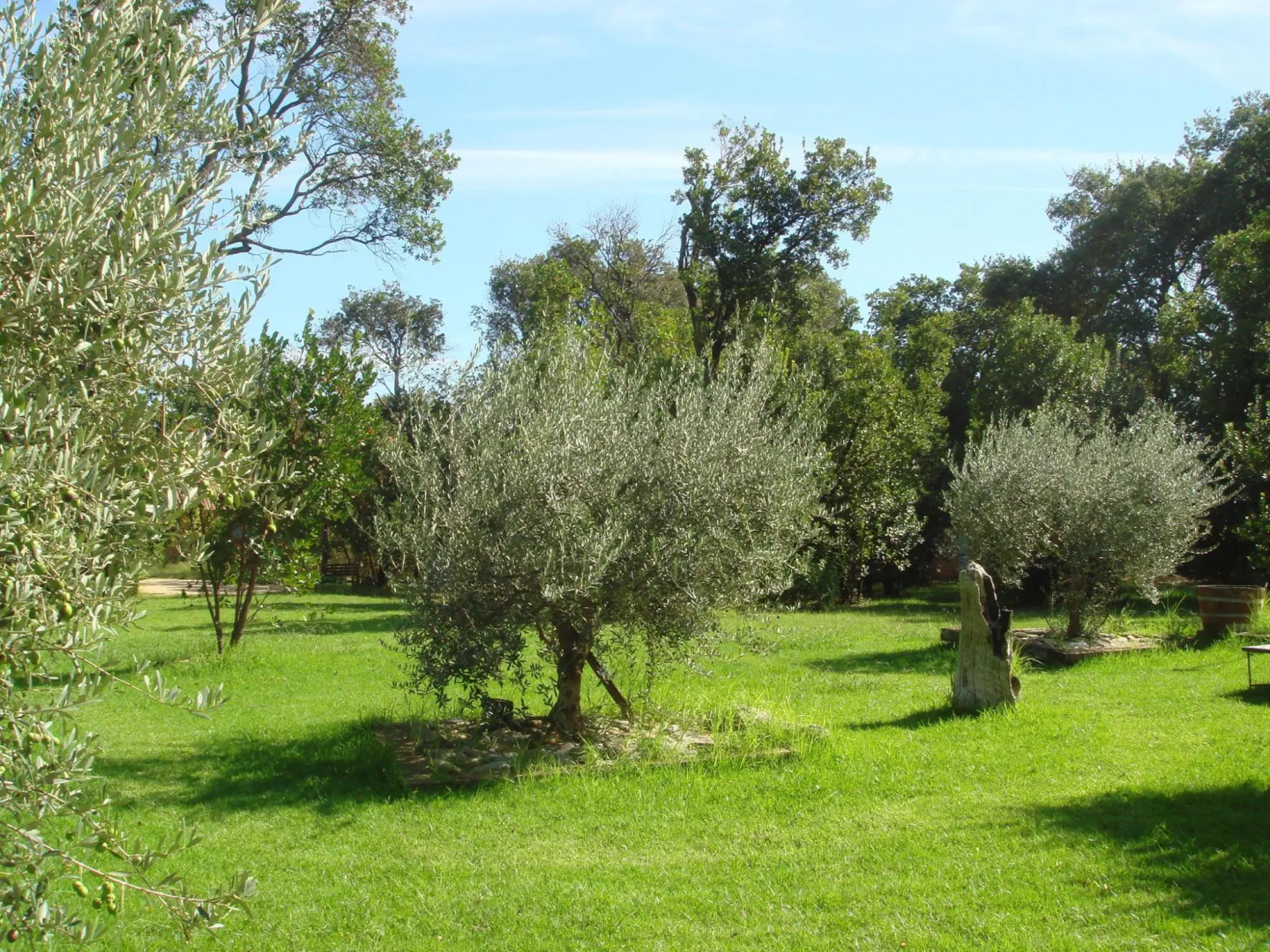Charming Villa in Poggio-Mezzana Near Beach