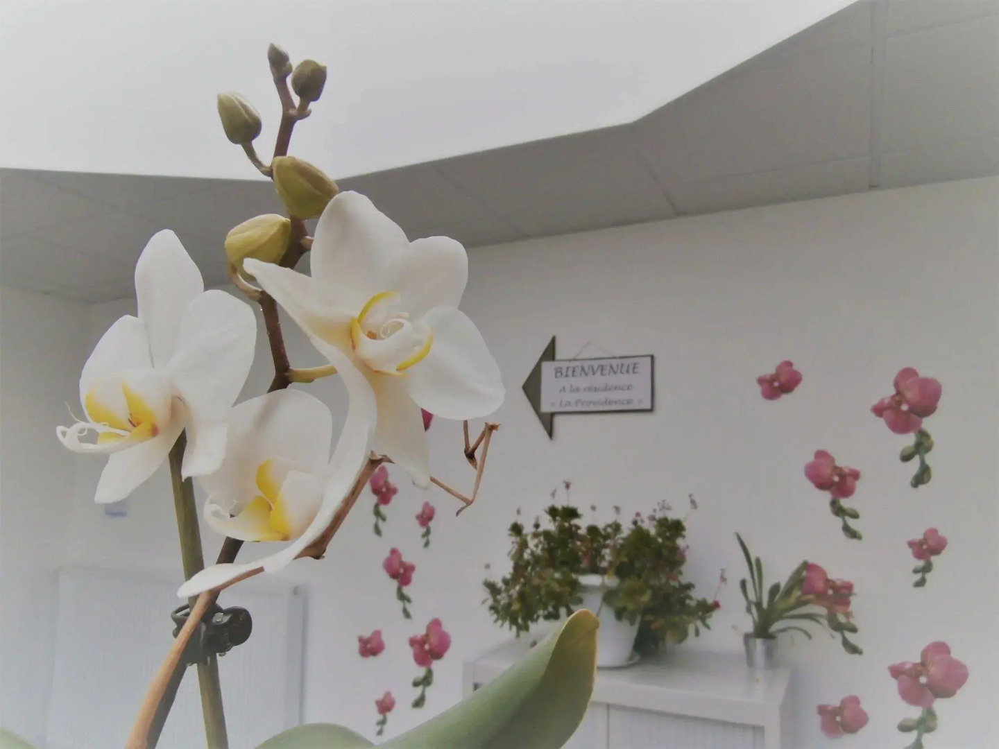 Résidence Zenao Appartements