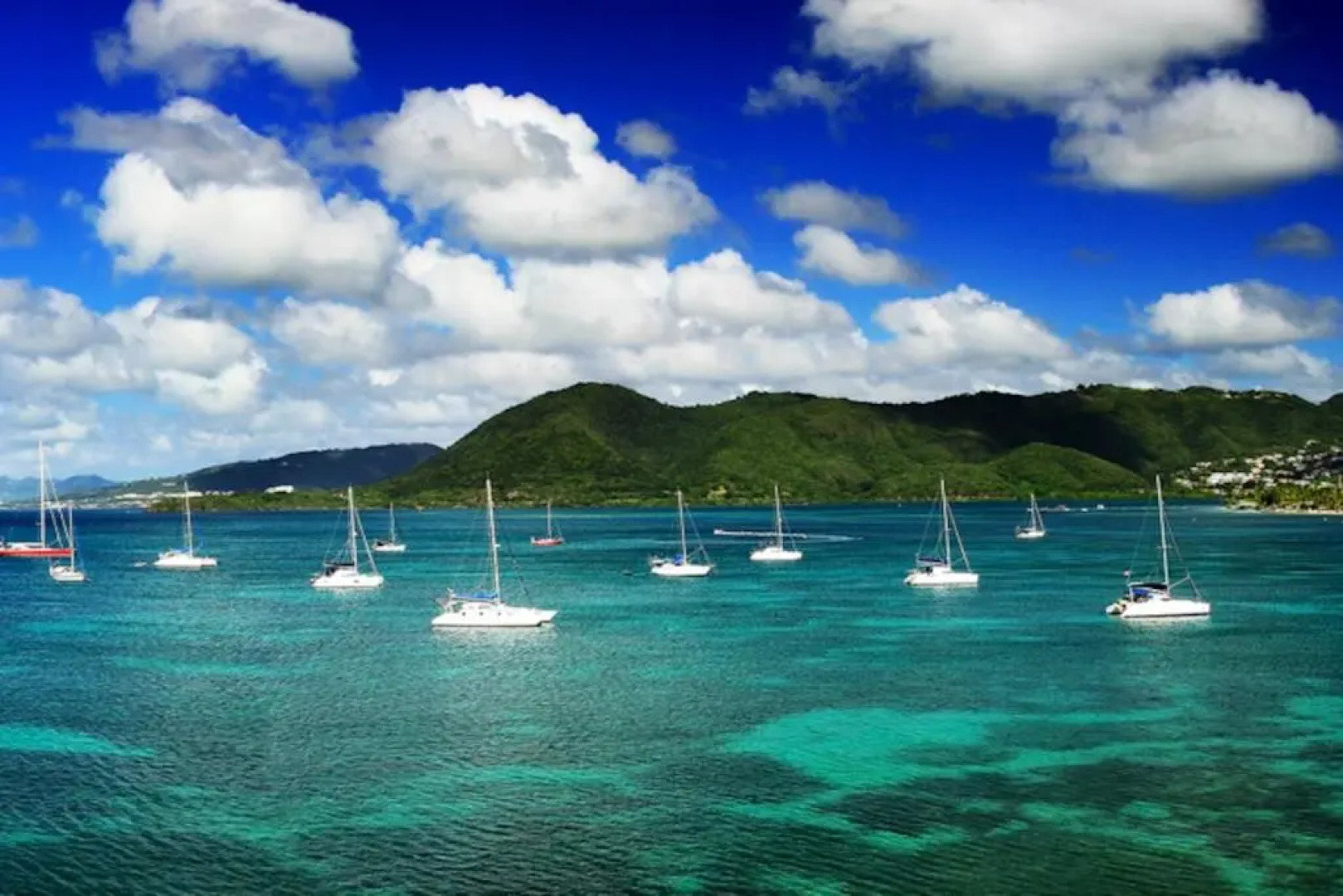 Studio avec vue sur la mer piscine partagee et terrasse amenagee a Le Marin a 3 km de la plage