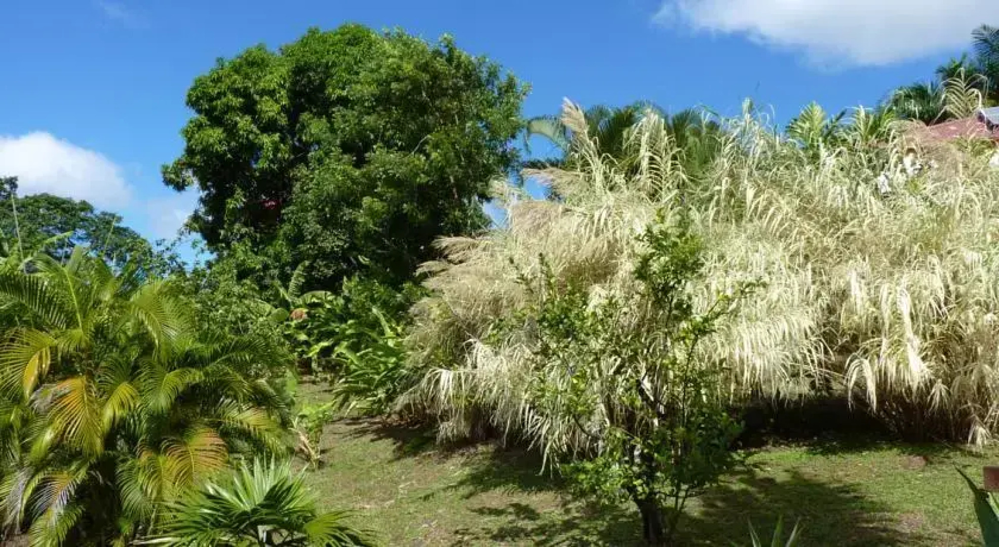 Residence De La Cousiniere