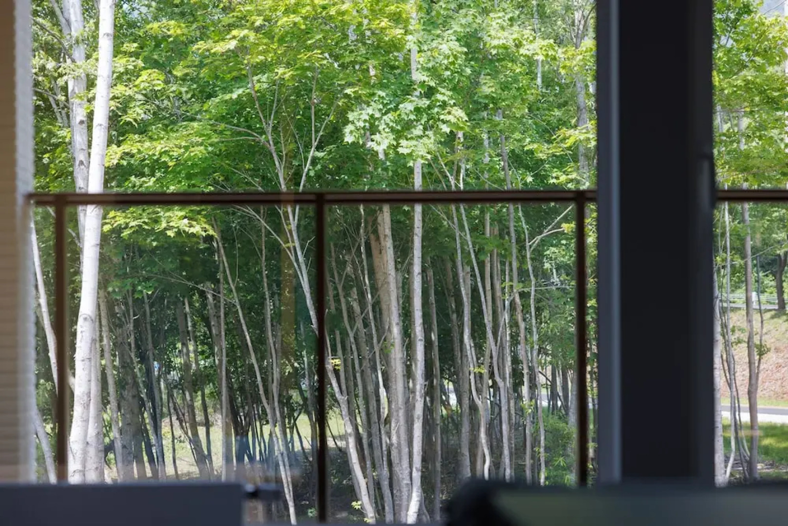 LYS GRACIEUX【Ezo Fuji hoothills】