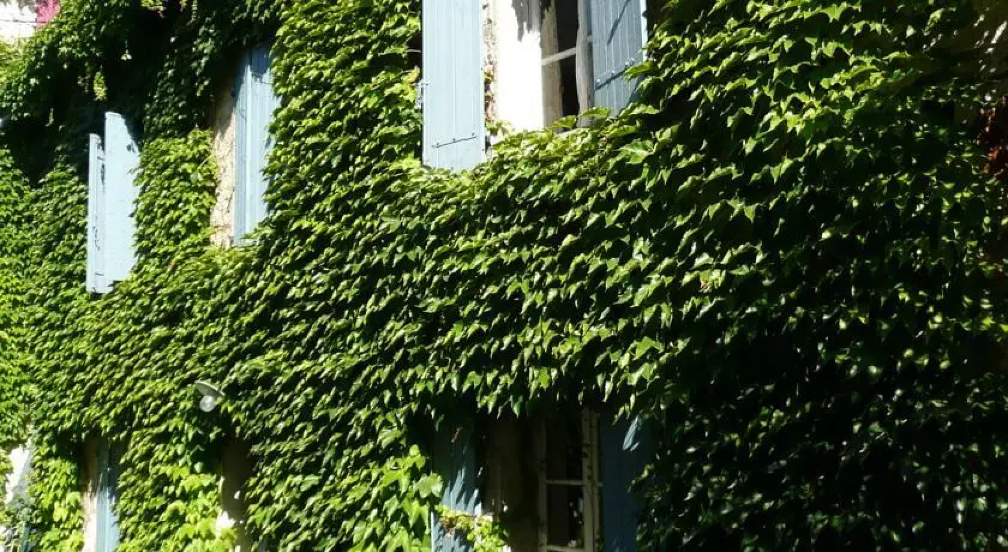 Lautre côté du lavoir
