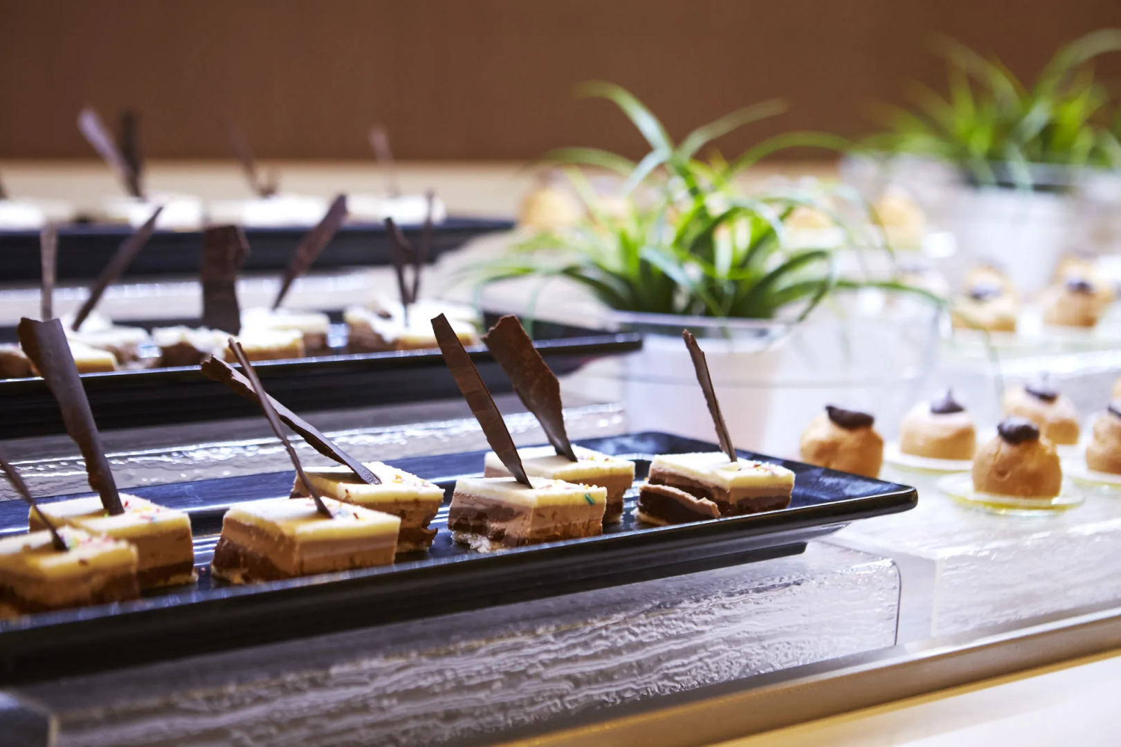 Insotel Tarida Beach Resort & SPA - All inclusive