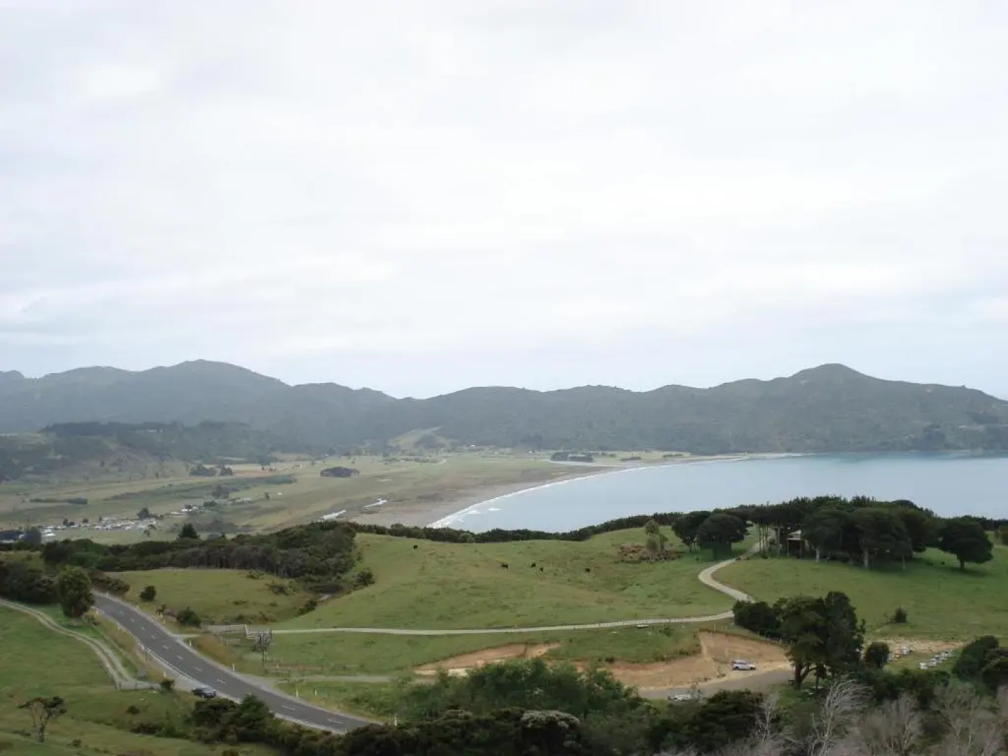 Nga Puriri Bed and Breakfast