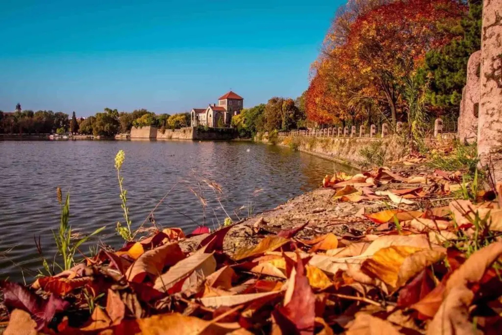 The Old Lake Suite - Tata