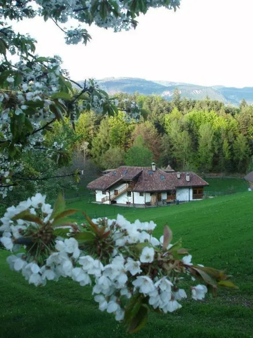 Tinnerhof