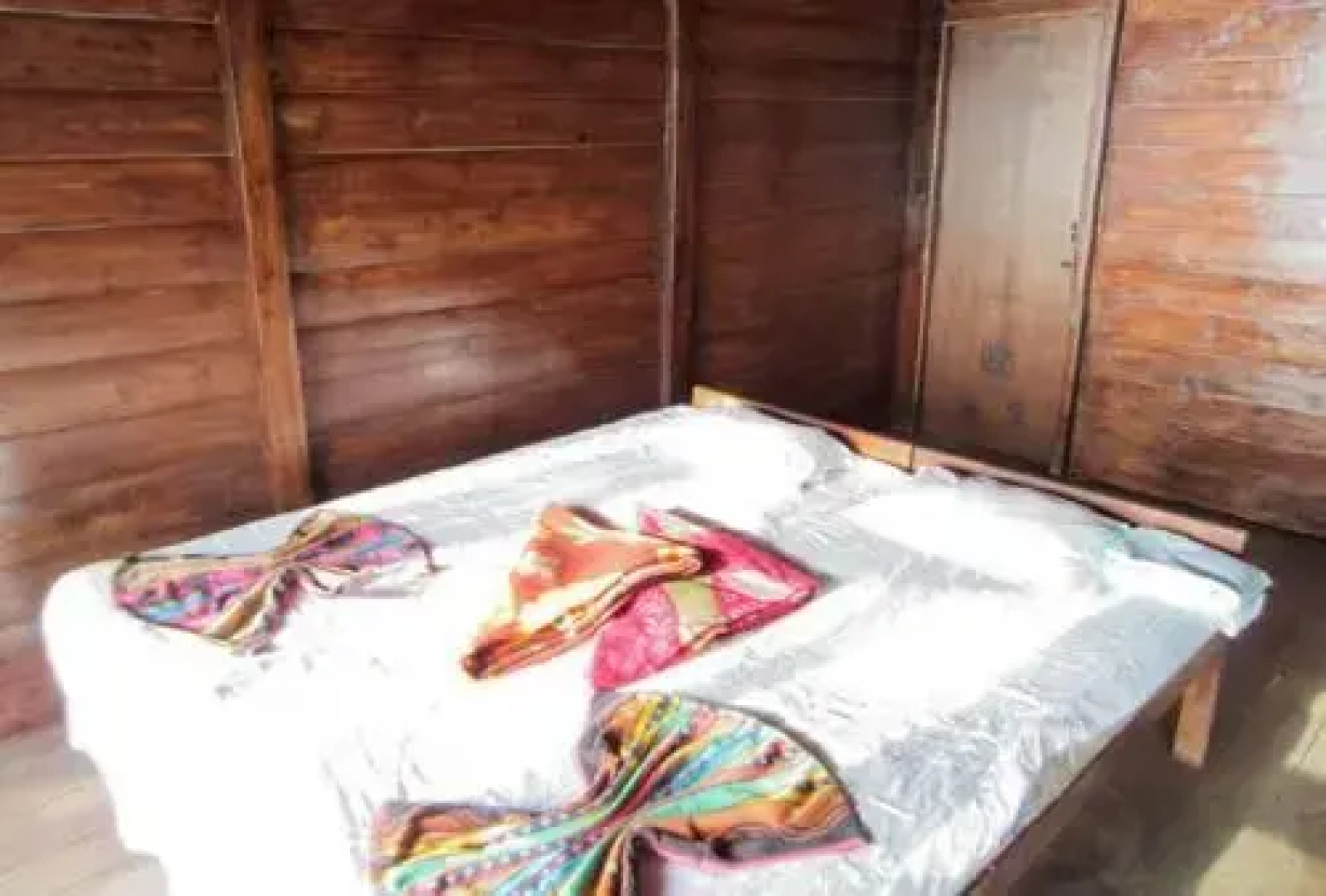 Dolphin Beach Resort