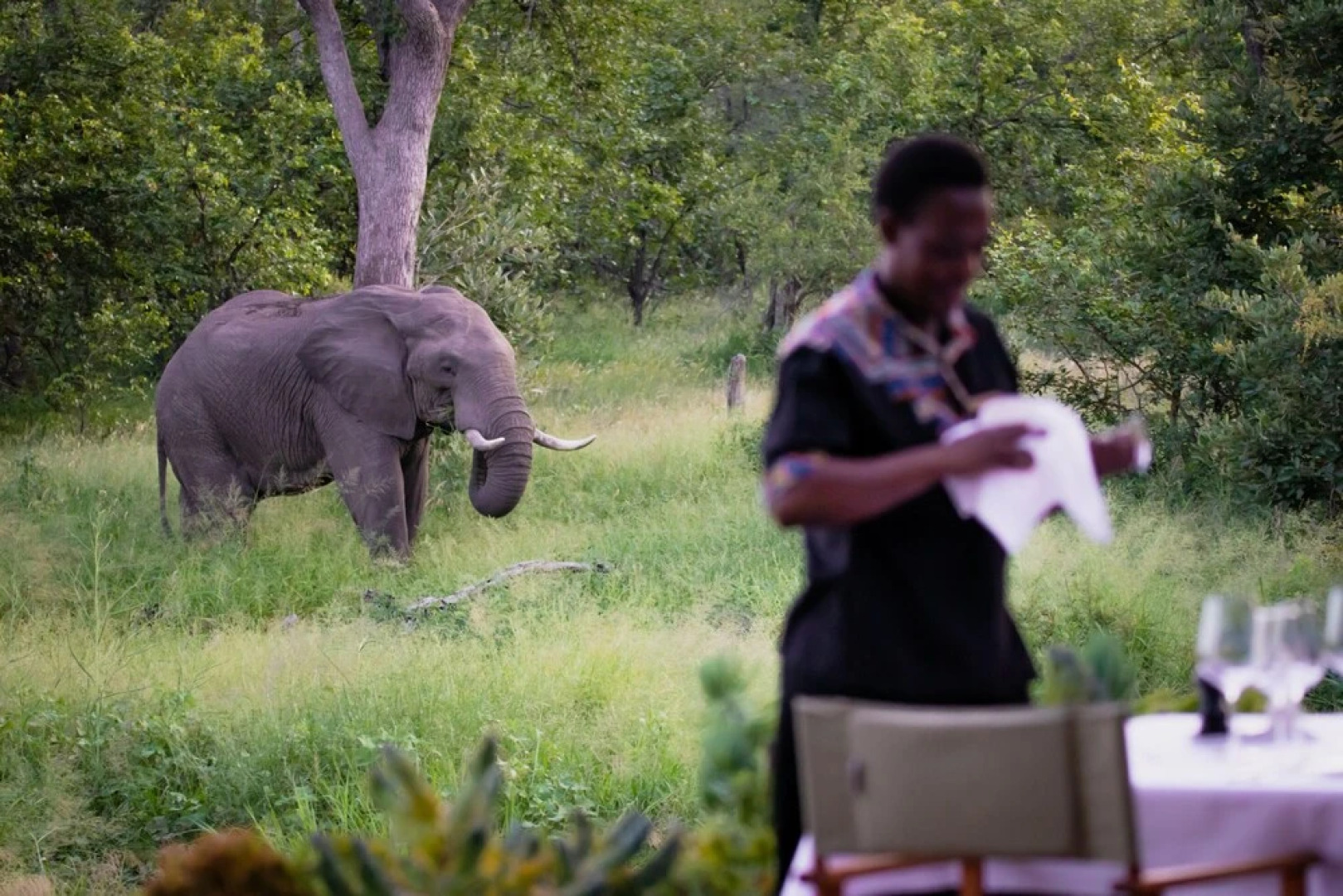 Klaserie Sands Safari Trails