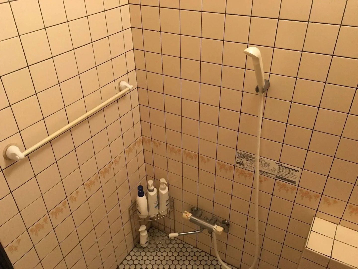 Kikkake Green and Mt.Fuji - Hostel