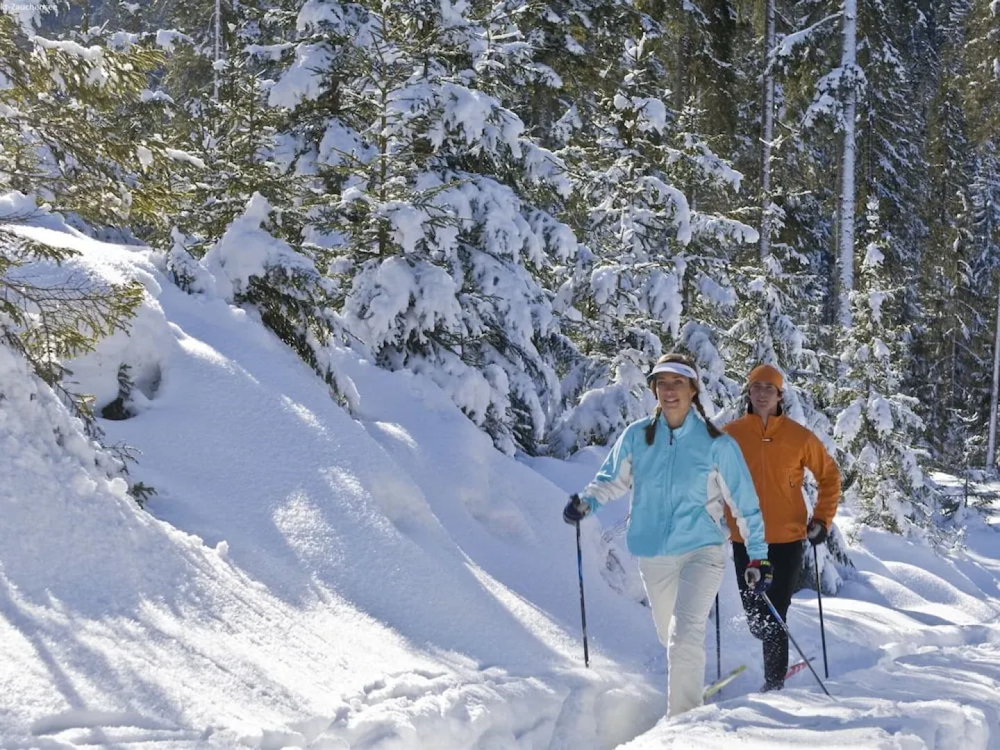 Stunning Apartment in Forstau Salzburg Near Ski Area
