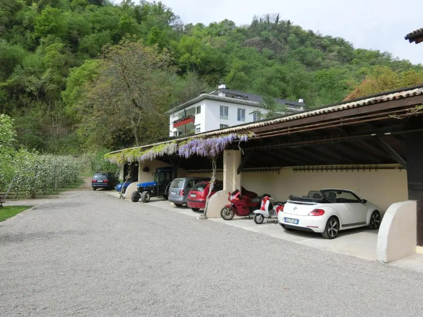 Kreuzwegerhofnals App 2sz Jonathan